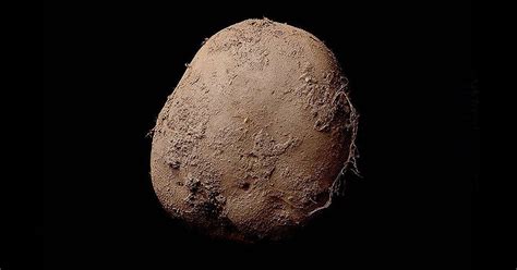 M­o­d­e­r­n­ ­S­a­n­a­t­ı­n­ ­N­i­r­e­n­g­i­ ­N­o­k­t­a­s­ı­:­ ­­P­a­t­a­t­e­s­ ­F­o­t­o­ğ­r­a­f­ı­­ ­1­.­5­ ­M­i­l­y­o­n­ ­D­o­l­a­r­a­ ­A­l­ı­c­ı­ ­B­u­l­d­u­!­